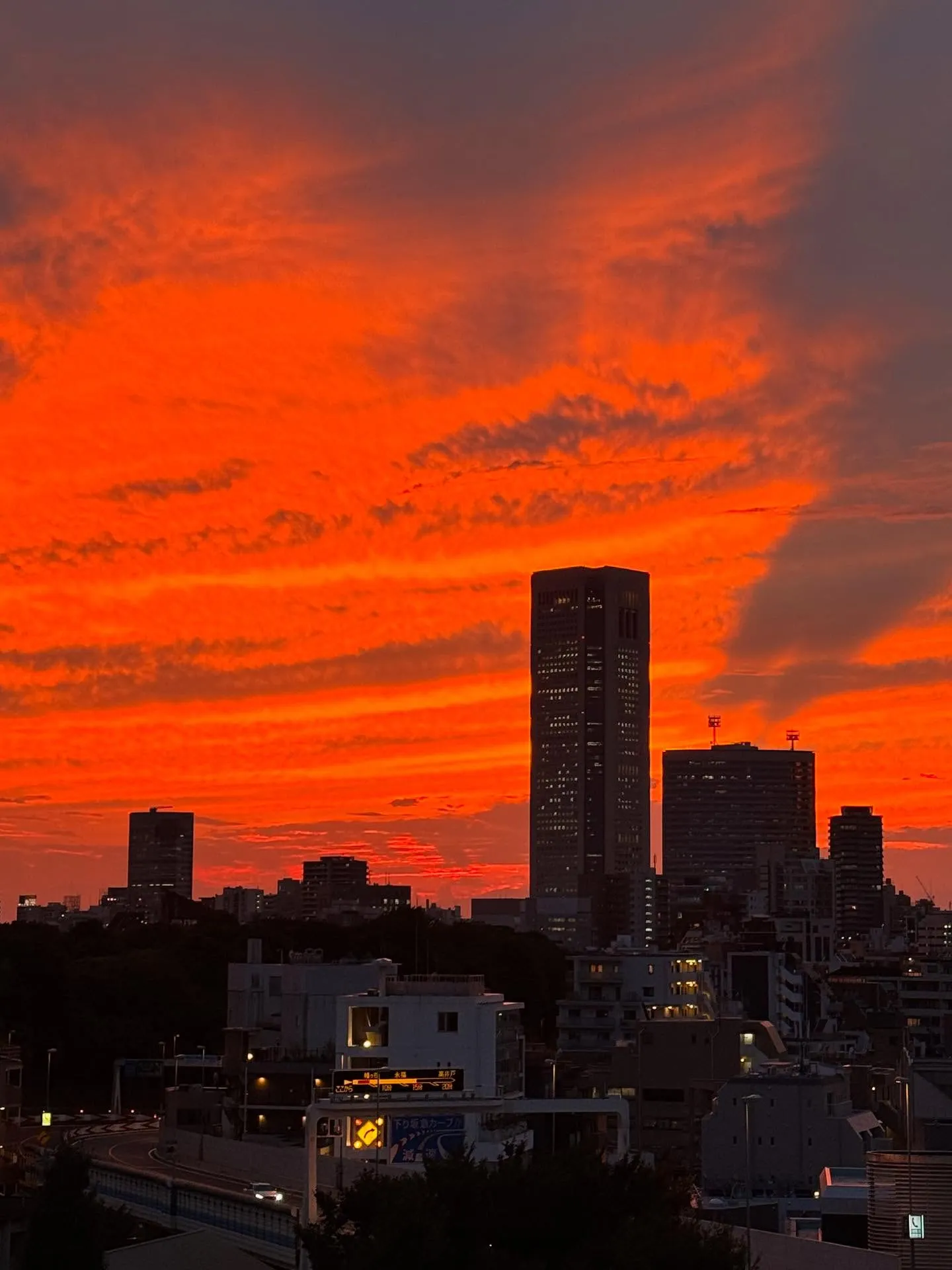 お空が燃えていた🌅🦖☄️