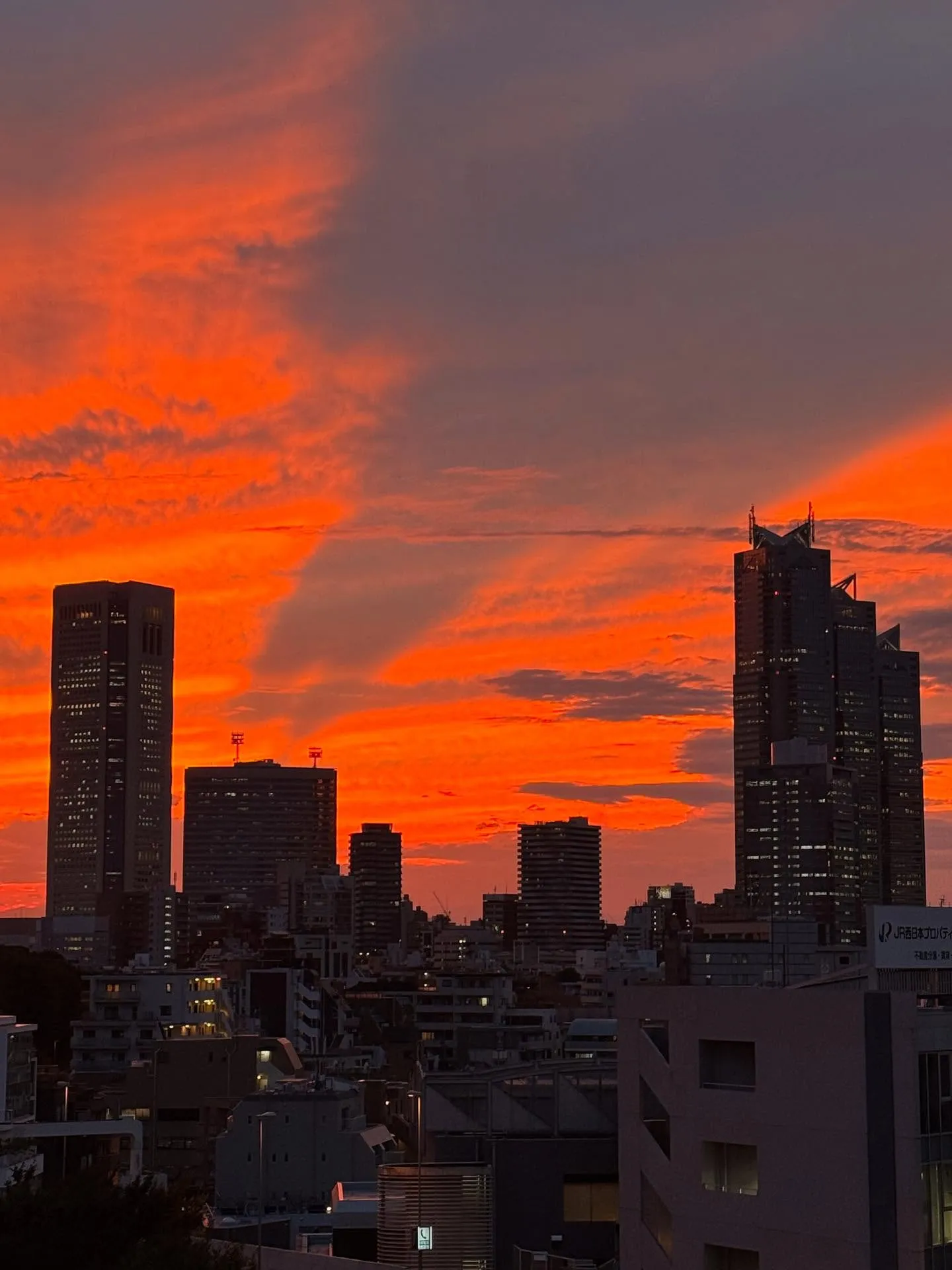 お空が燃えていた🌅🦖☄️