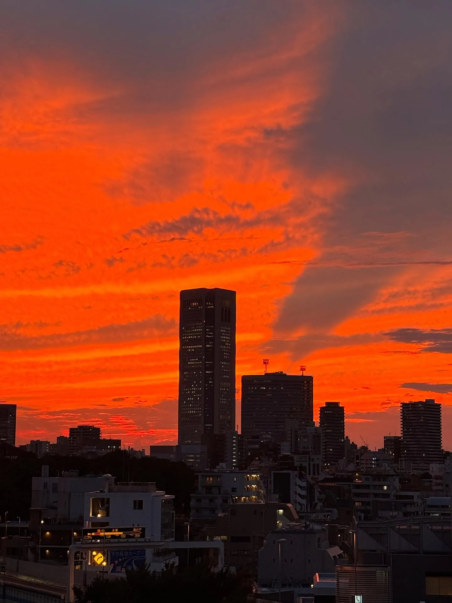 お空が燃えていた🌅🦖☄️
