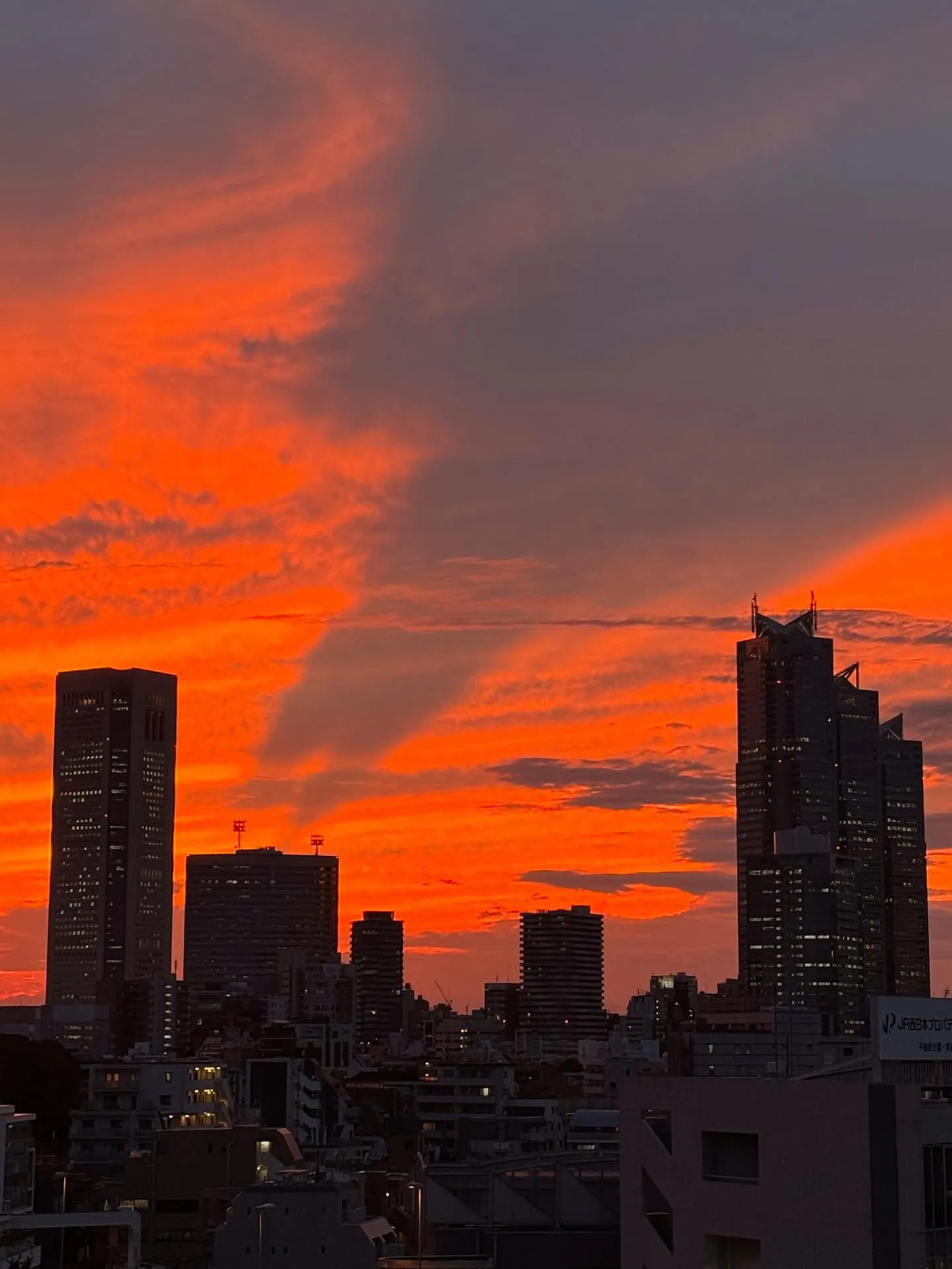 お空が燃えていた🌅🦖☄️