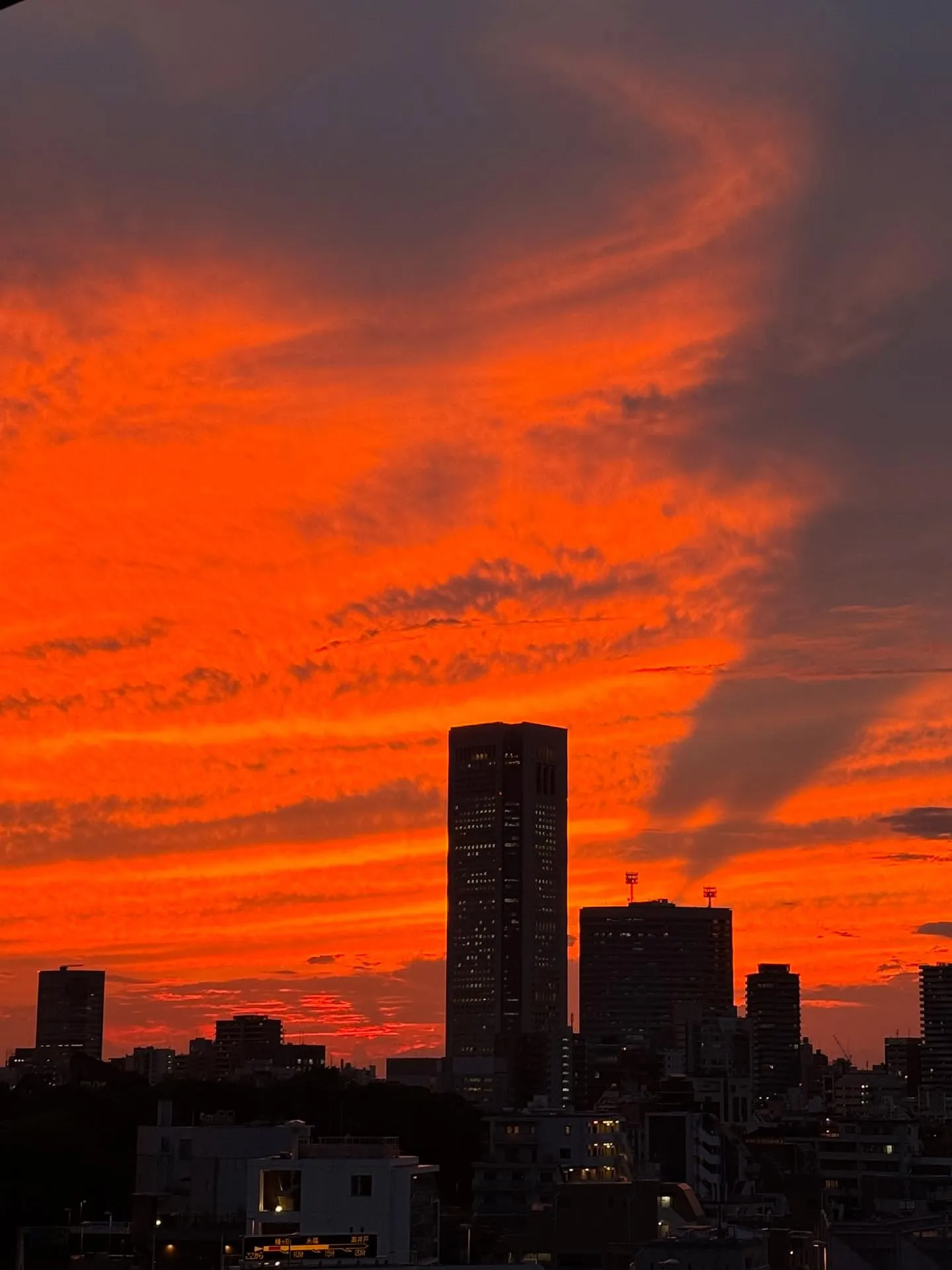 お空が燃えていた🌅🦖☄️