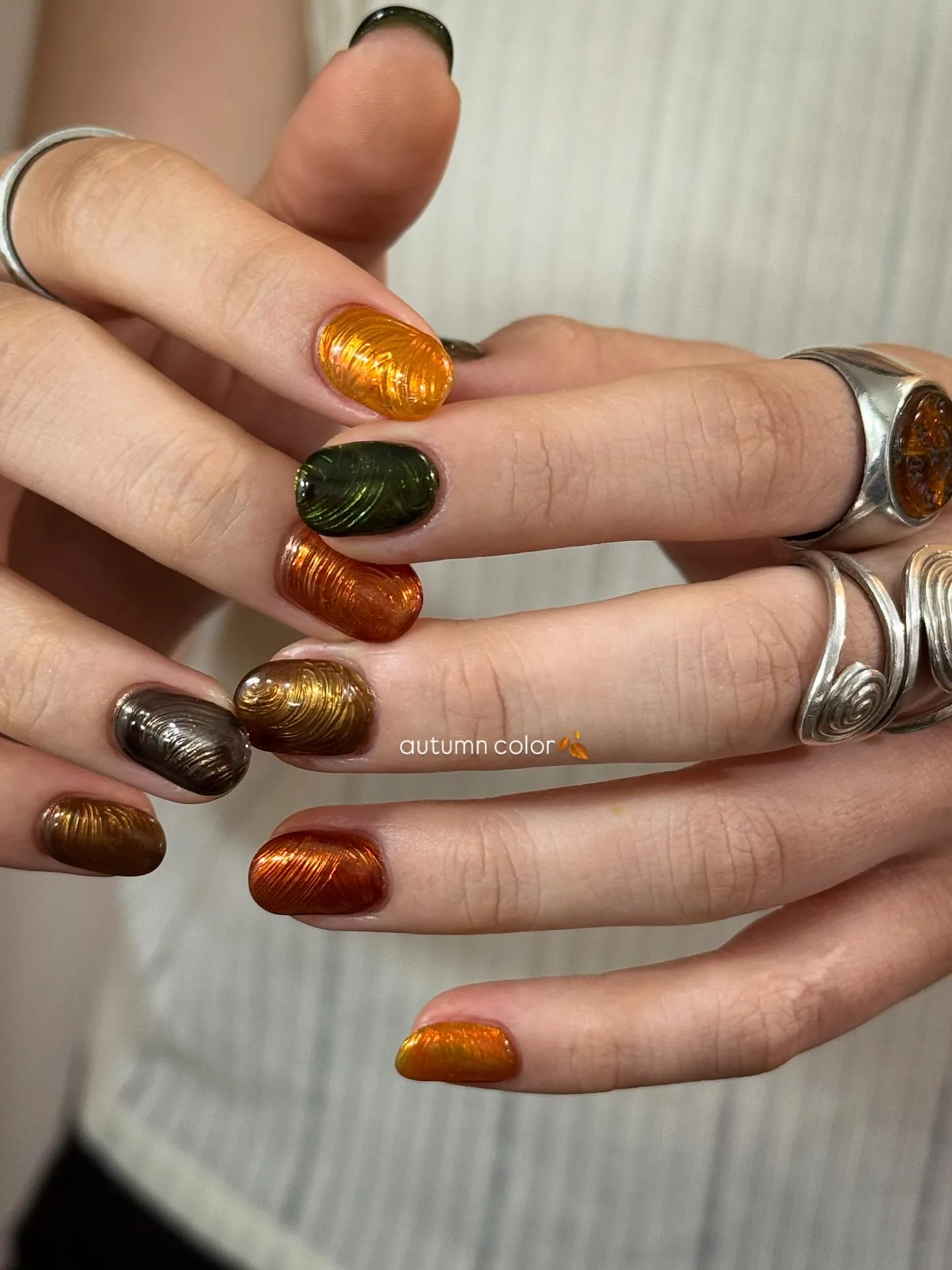 🍂🍁🌾🌳🐦‍🔥