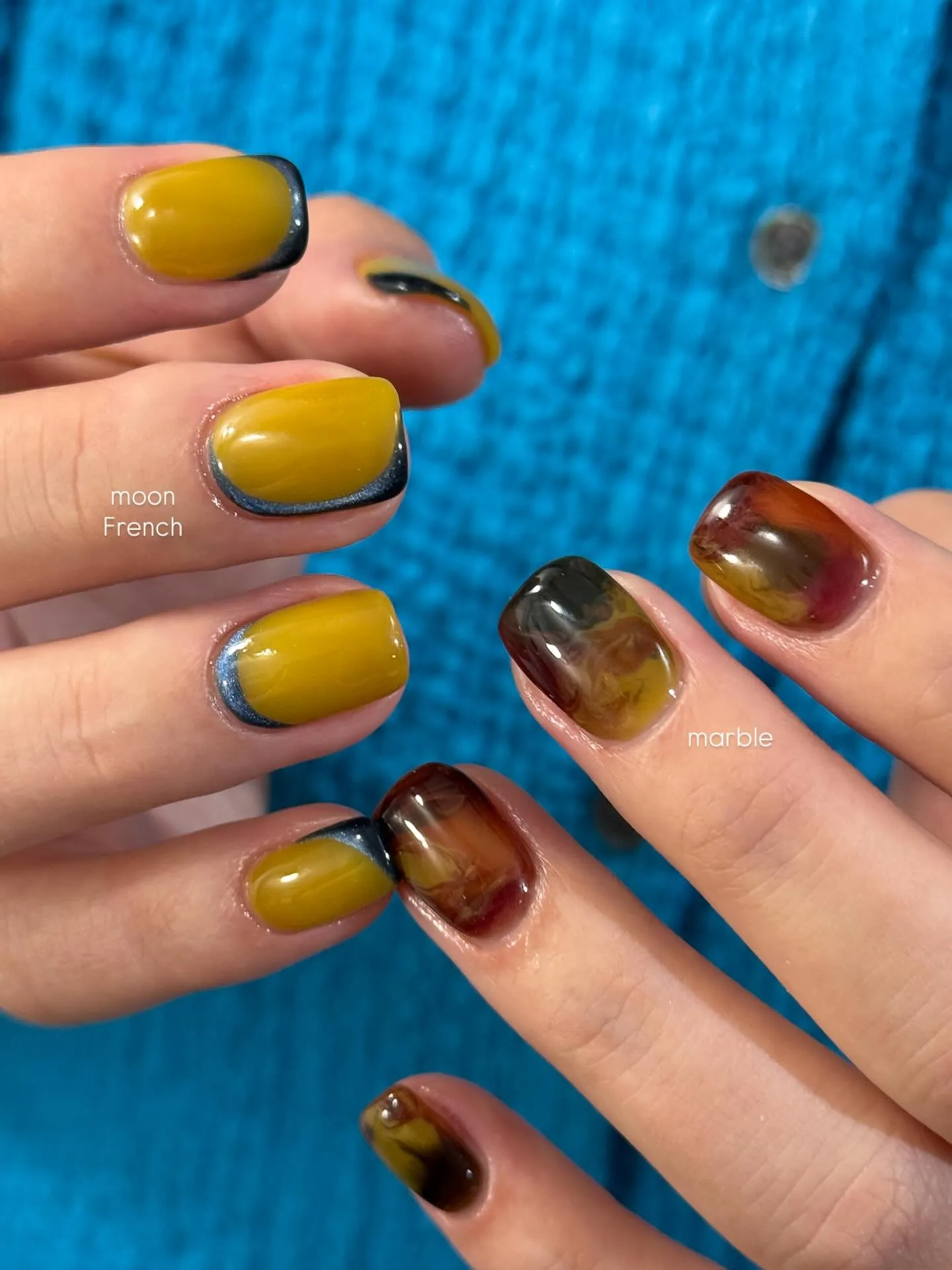 💙💛🍁🍂🍄🟫🥀