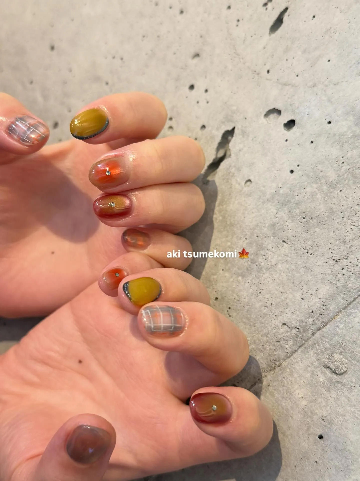 🍁🍂🥉🪂🌰🍠🍄‍🟫