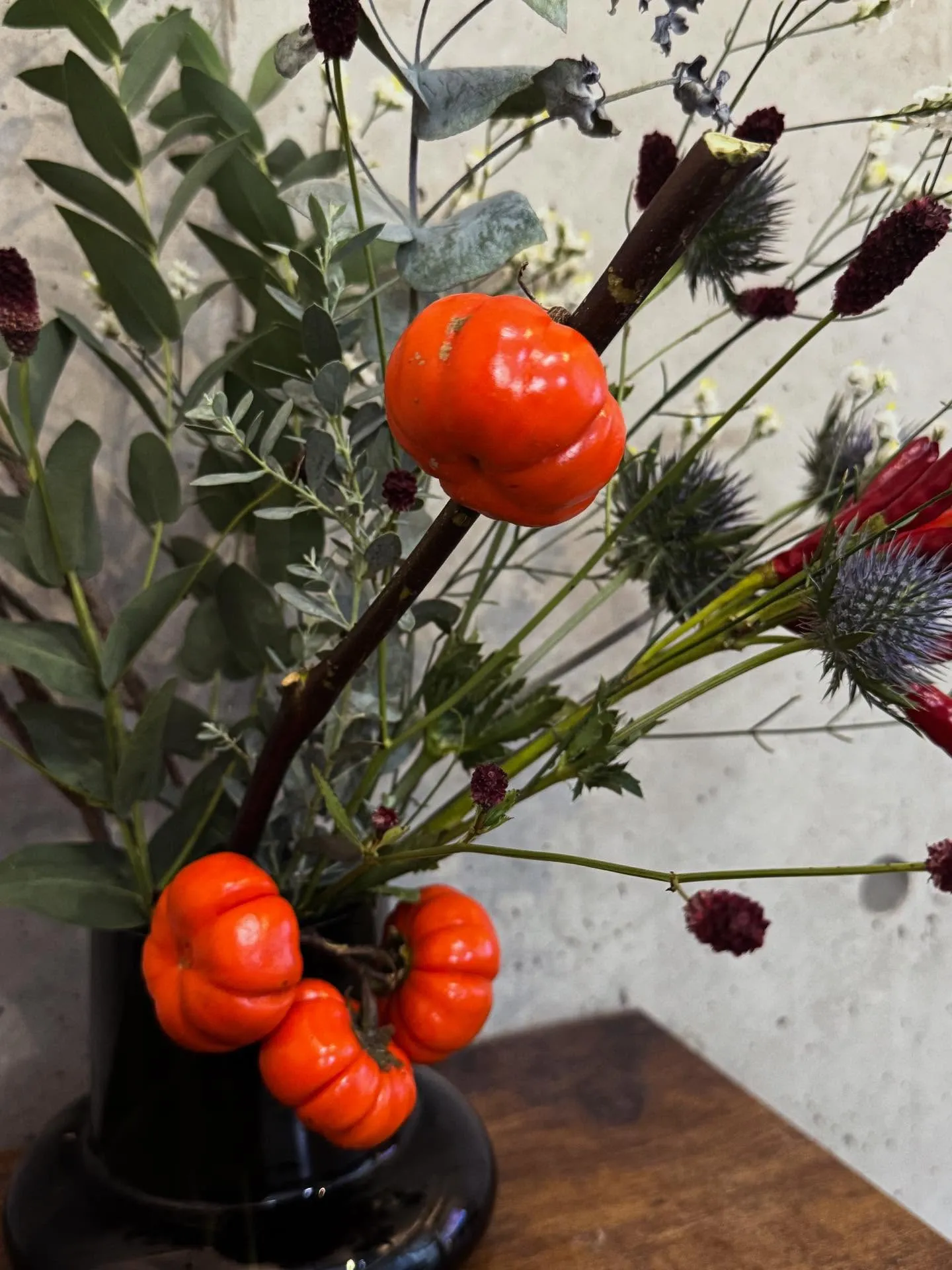 秋を愛でようじゃないか🍁