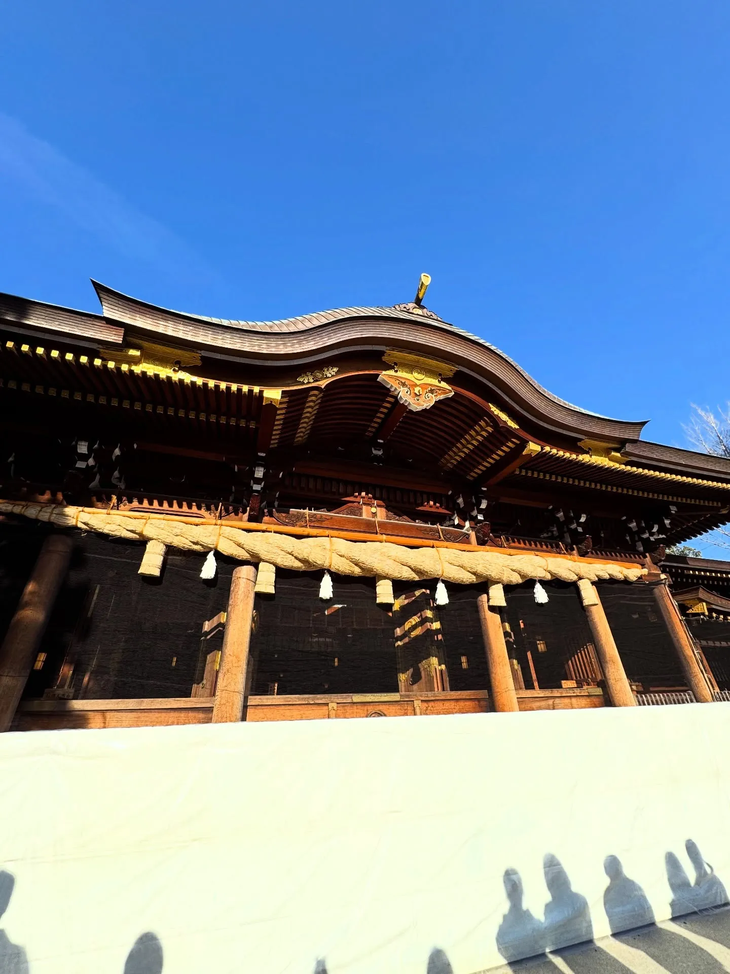 年末散歩のあれこれ