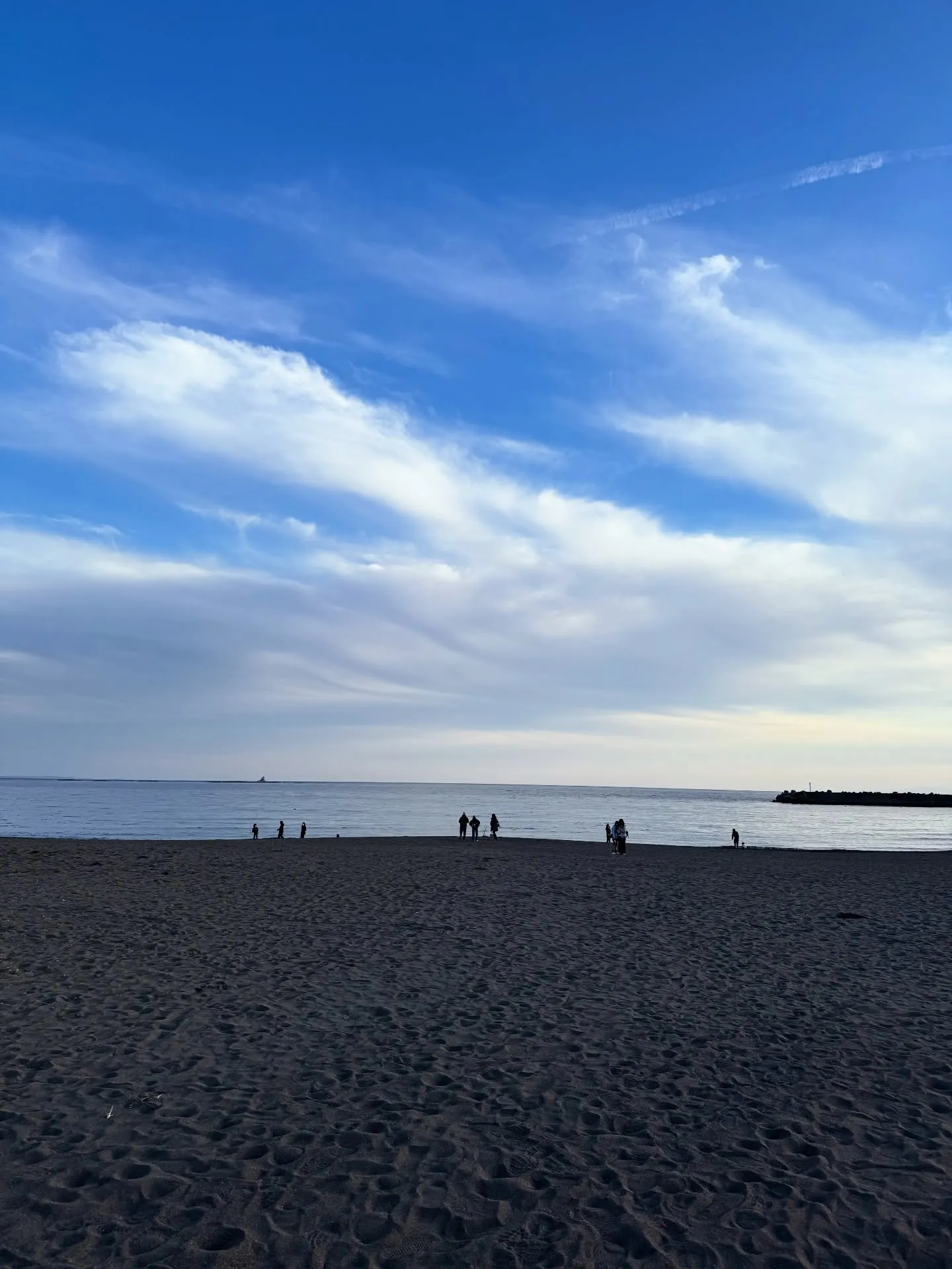 年末散歩のあれこれ