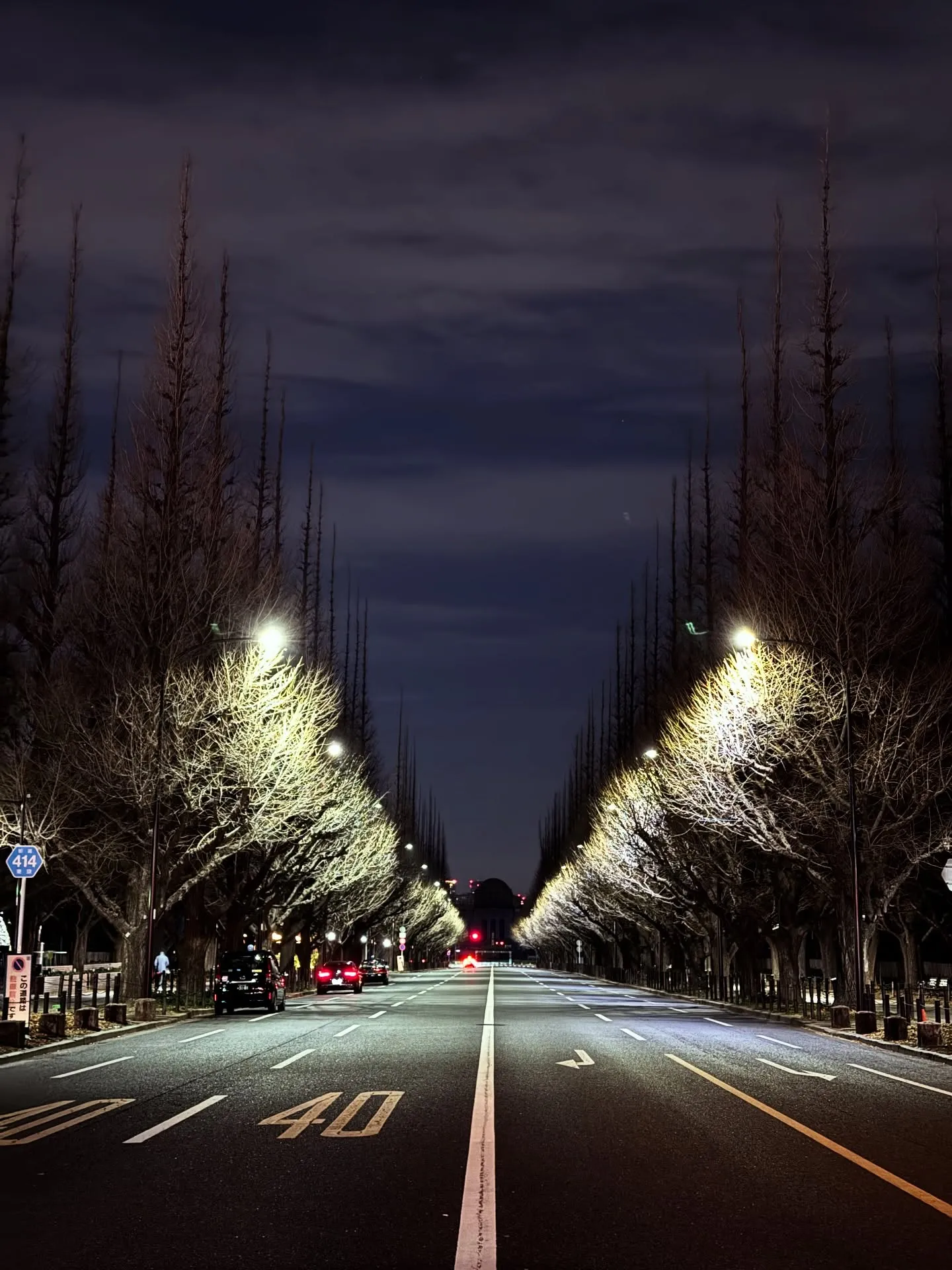年末散歩のあれこれ