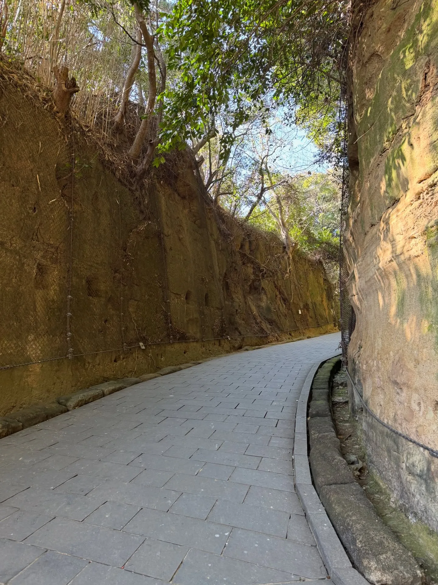 横須賀ドライブ