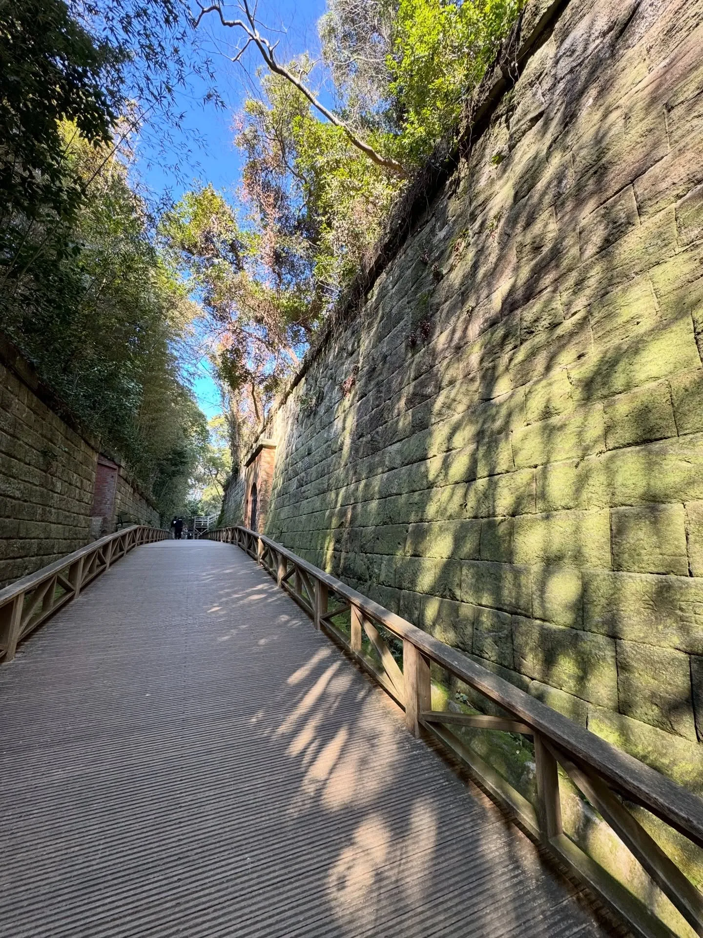 横須賀ドライブ