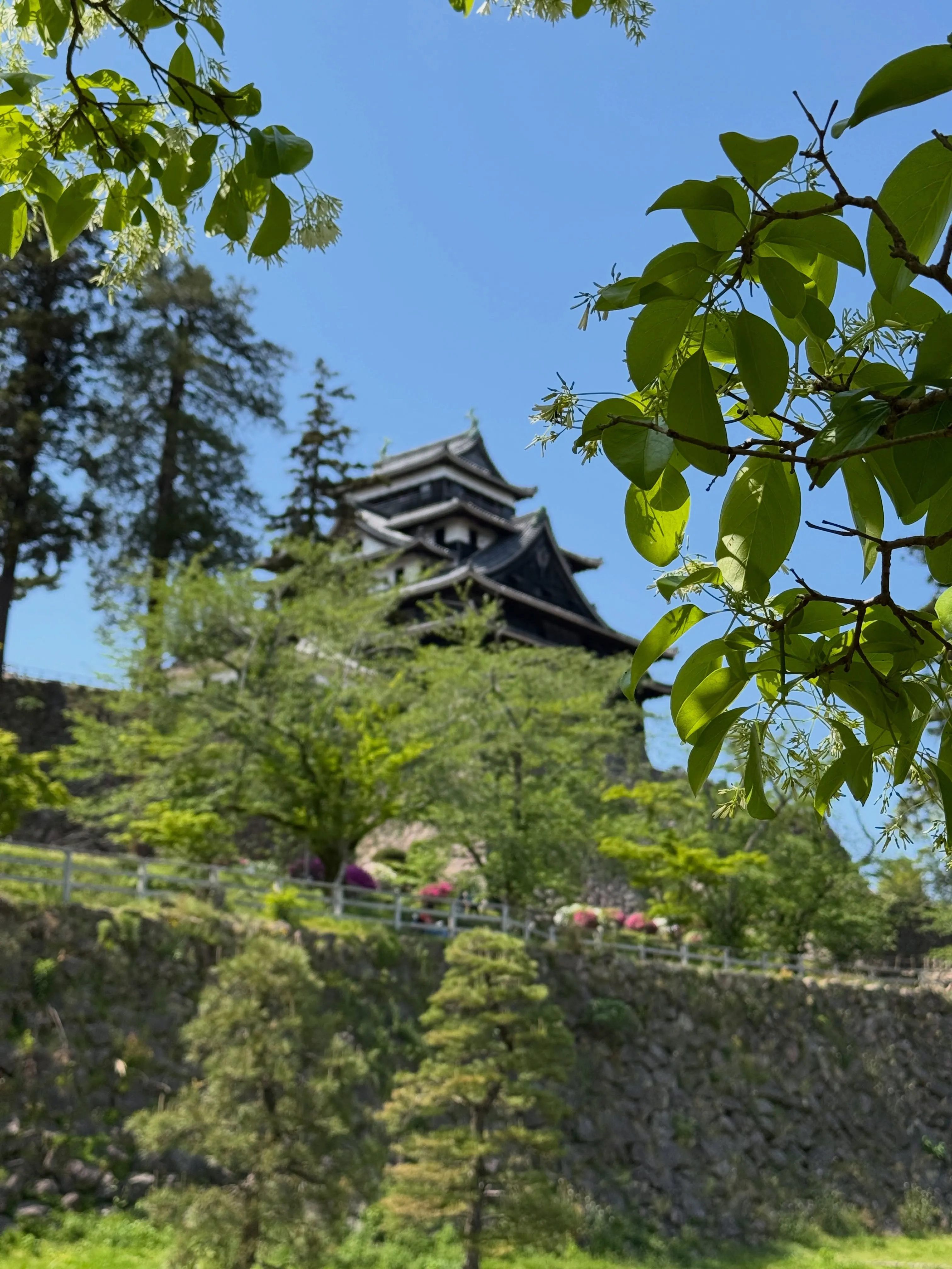 #出雲旅 の残り